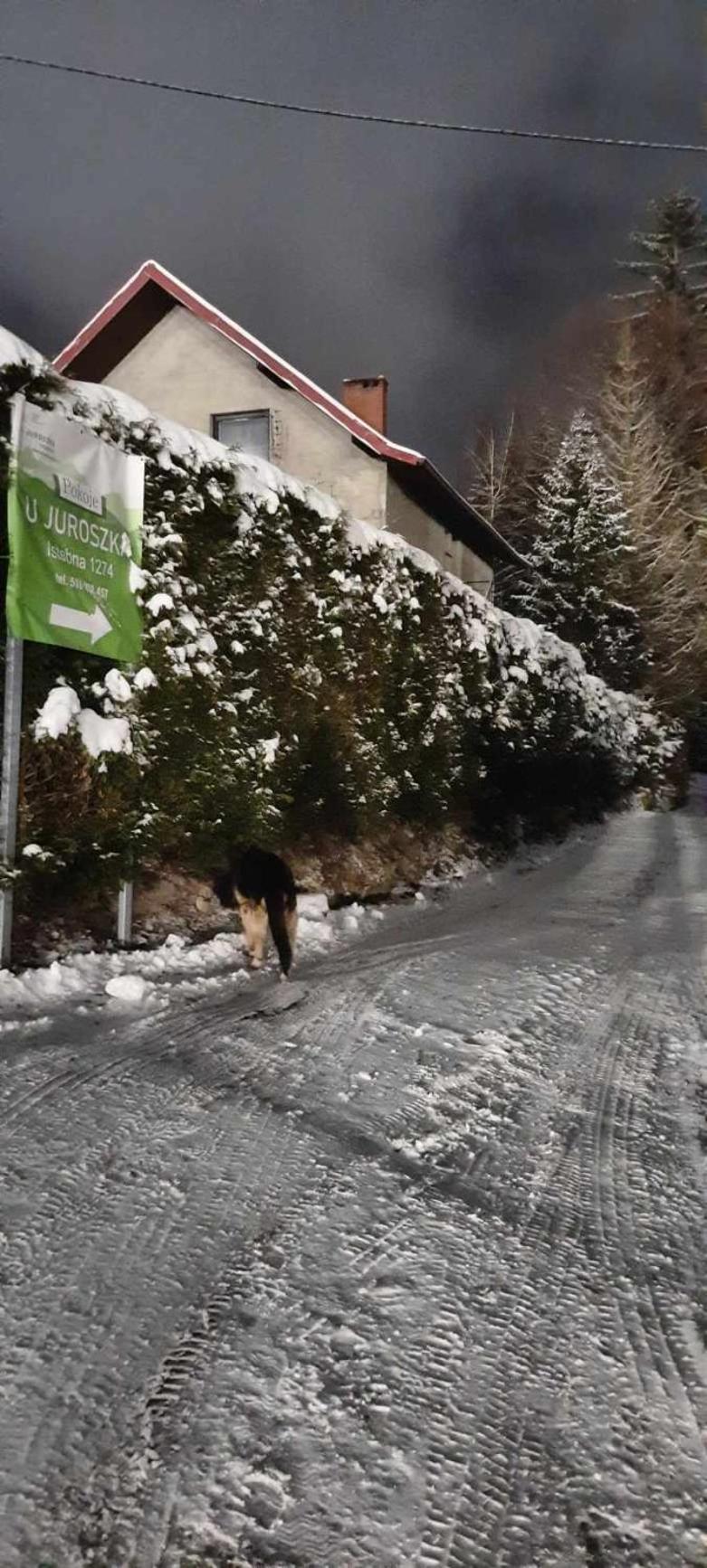 Pokoje U Juroszka Istebna Exteriör bild
