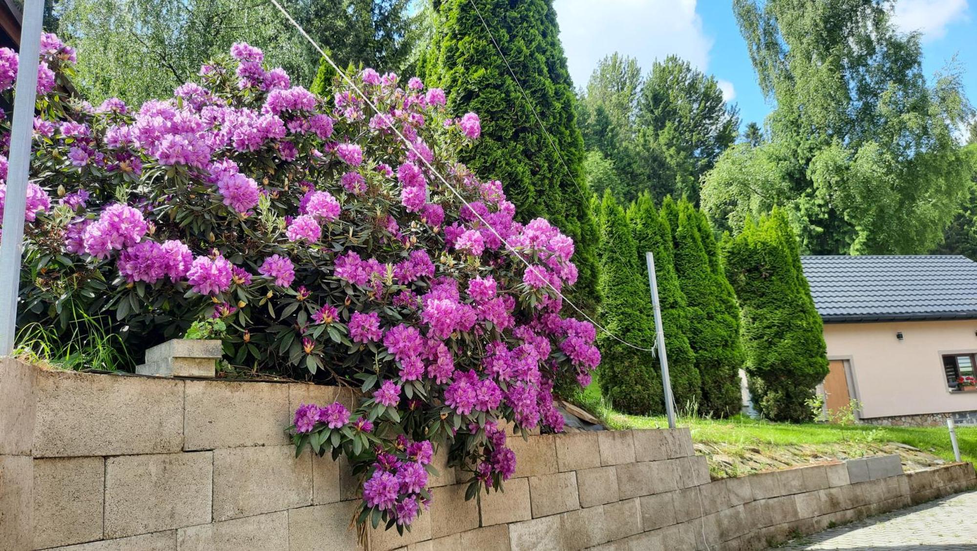 Pokoje U Juroszka Istebna Exteriör bild